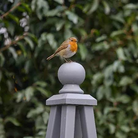 Holiday home Little Nut