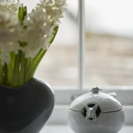 Little Nut Ambleside