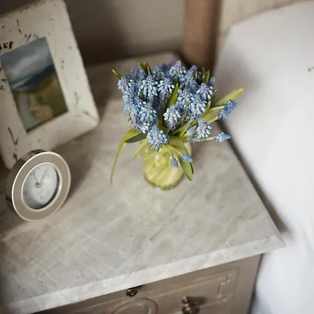 Little Nut Casa de Férias